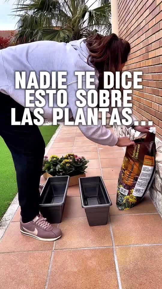 @tastet_dedeco